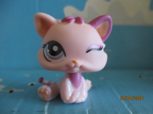 Petshop chaton chat n - /, n°1481