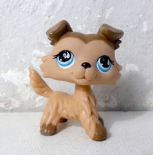 Littlest Petshop LPS #893 chien colley