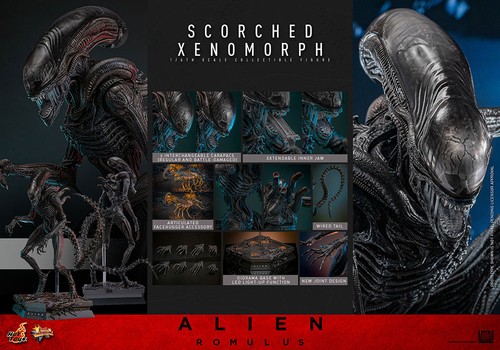 Hot toys alien - hot, romulus