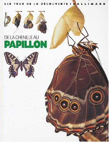 Chenille au papillon - chenille,