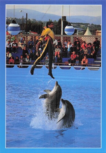 Antibes marineland - 6,