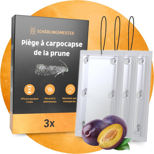 Lot pièges phéromones - lot, 3