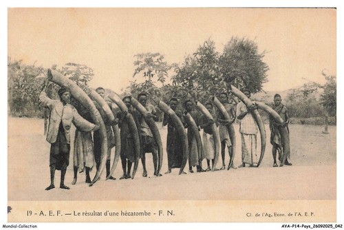 Ayap14 1046 dahomey le - -,
