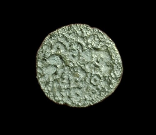 Senons bronze yllycci - ,