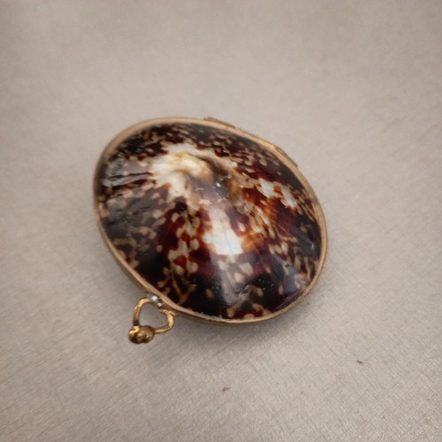 Pilulier coquillage boite à - coquillage,