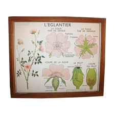 Affiche pédagogique scolaire