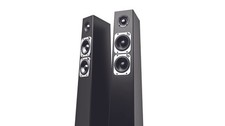 Totem Tribe Tower 2-Way
