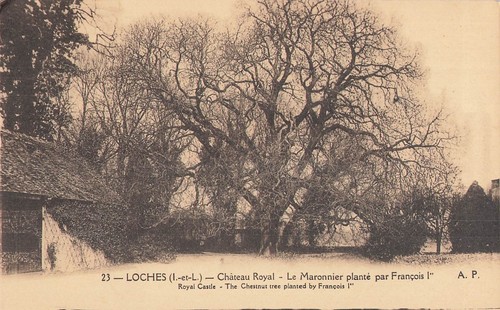 Loches château royal - 37,