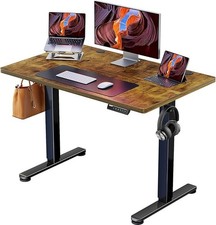 ErGear Bureau Assis Debout 100