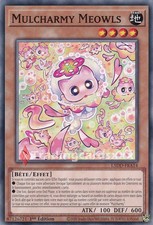 Yu-Gi-Oh! Mulcharmy Meowls : C L5DD-FRA14