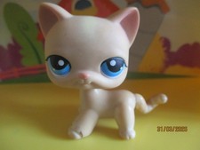 Petshop Chat Européen #228 /