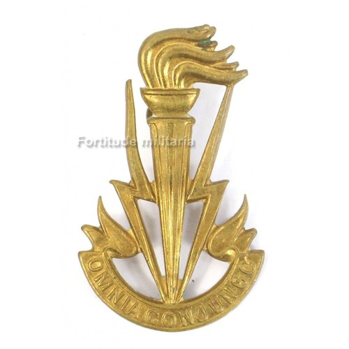 Insigne belge coiffure - de,