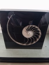 INCLUSION EN RESINE FOSSILE