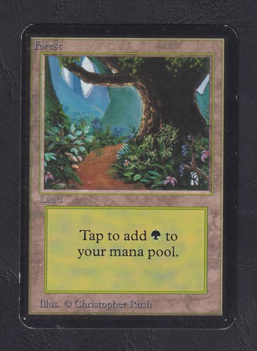 Magic mtg forest alpha - magic,