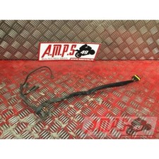 faisceau Ducati 695 Monster