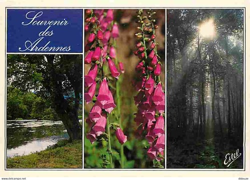Carte postale ardennes - -, 08