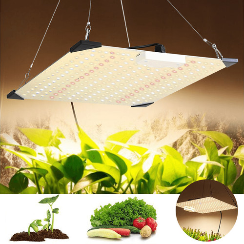 Grow light 1000w - light,
