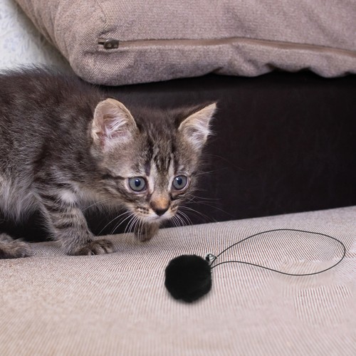 Pcs boule ressort chat - boule,