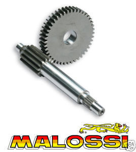 Transmission gear malossi - transmission,
