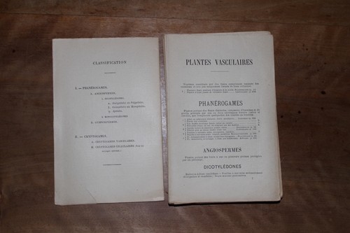 Livre botanique petite - livre,