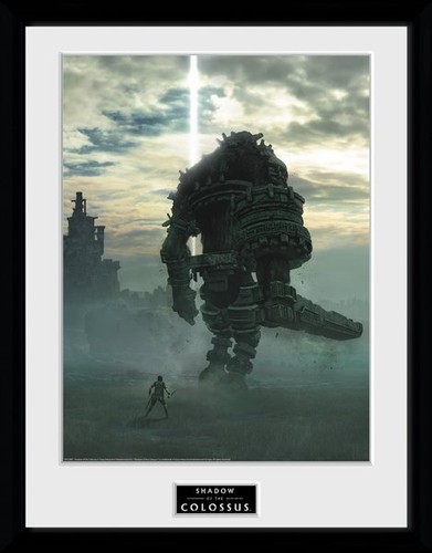 Shadow the colossus - of,