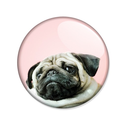 Badge petit chien - badge, bouledogue
