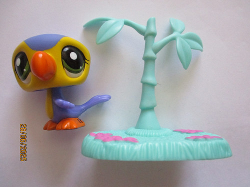 Petshop toucan 1783 - petshop, n°1783