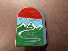 Insigne de la journée Pierre