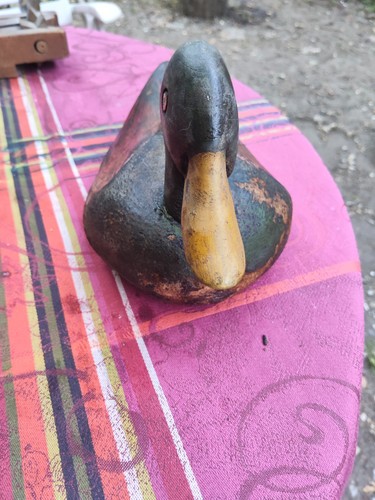 Appelant chasse canard ancien - appelant,