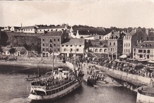 🦬Carte Postale / Postcard /