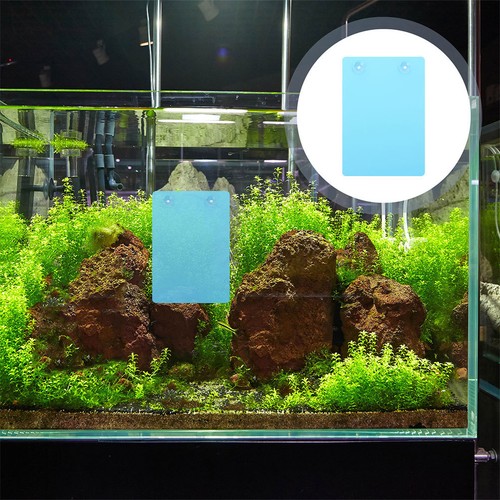 élevage inc pour - Élevage, aquarium