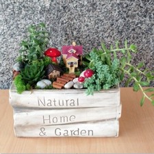 Moule Silicone Pot Terrarium