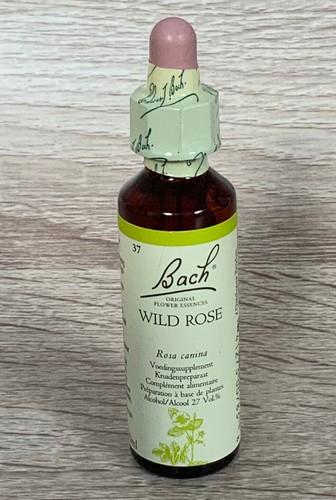 Fleurs bach wild rose - fleurs, de