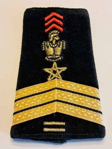 Fourreau militaire - fourreau,