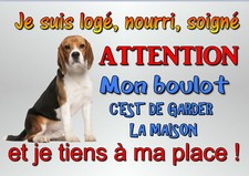 plaque chien beagle