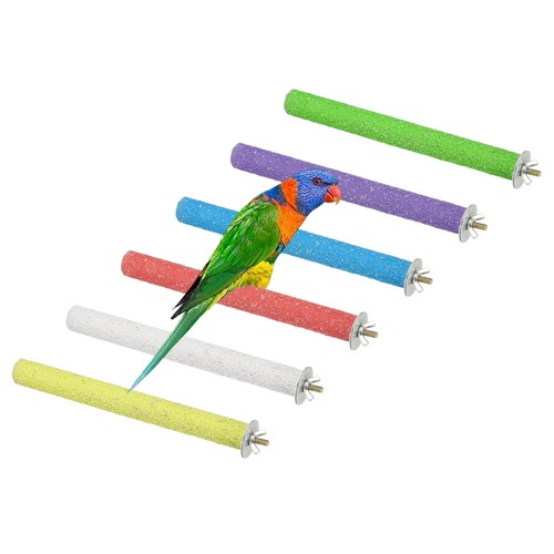 Perchoir pour perroquet bois