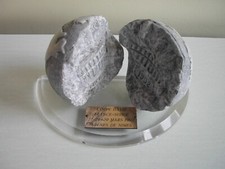 UNIQUE- Trophée TENNIS - COUPE DAVIS - FRANCE - SUISSE - NIMES 1992 signé BARLOT