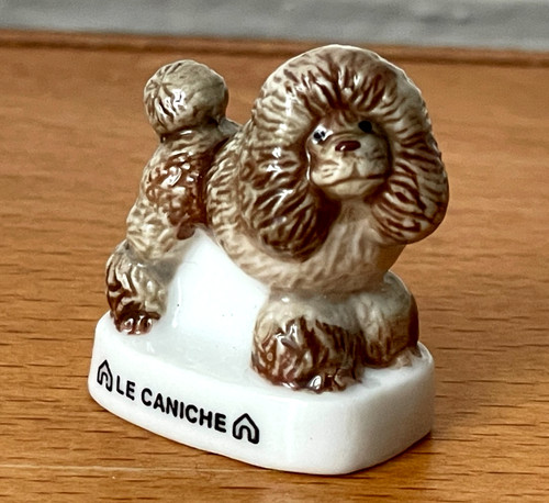 Magnifique fève chien - chien, le