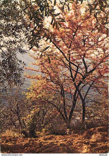 Carte postale drome - 26,