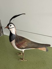 Oiseau collection vanneau huppé fibre collée fait main Mario di Maio figurine