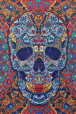3D SKULL Psychedelic