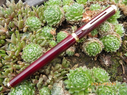 Stylo plume waterman - stylo, preface