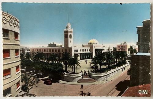 Algerie cpsm carte postale - algerie,