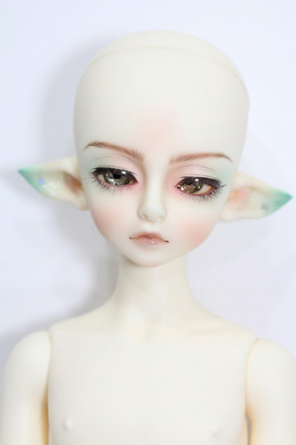 Luts kid delf kdf bory - delf,
