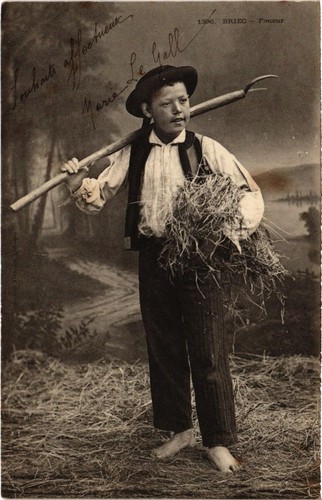 Cpa briec faneur type - faneur,