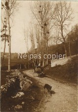 POITIERS 1903 un chemin chien