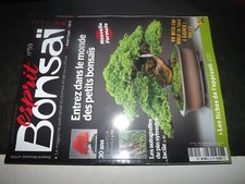 ** Esprit bonsai n°59 Shun Ga
