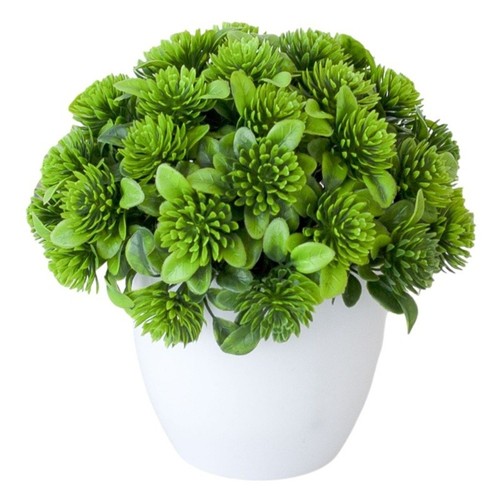 Fausse plante pot - en, faible