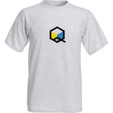 Nintendo Panasonic Q Gamecube