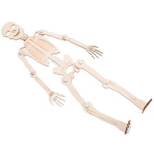  Maquette Corps Humain